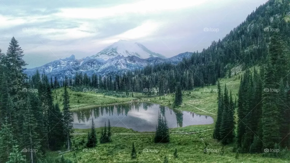Mt. Rainier