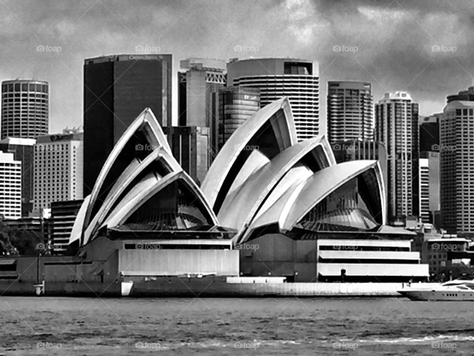 Sydney Opera House Black & White
