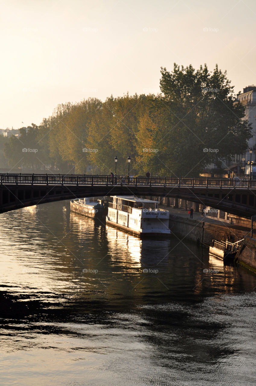 Bridge over the lake