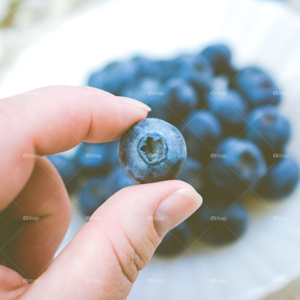 Holding a Fresh Blueberry 