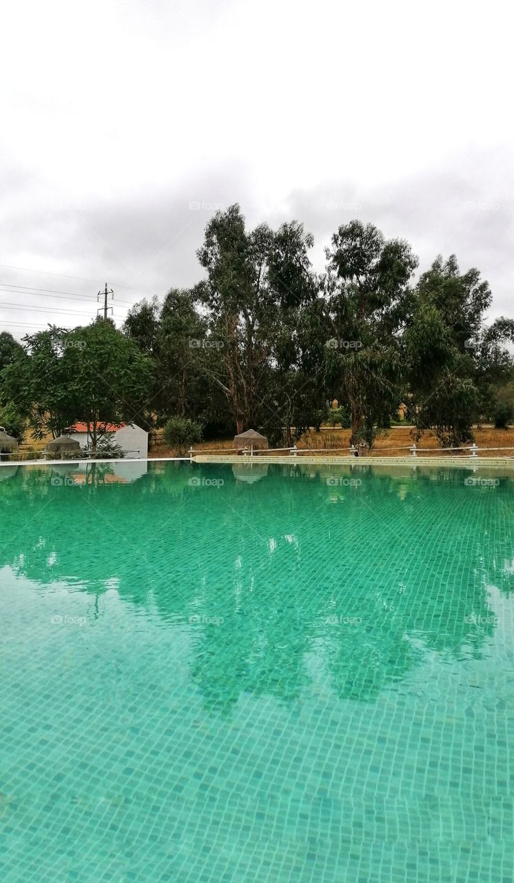 Green pool