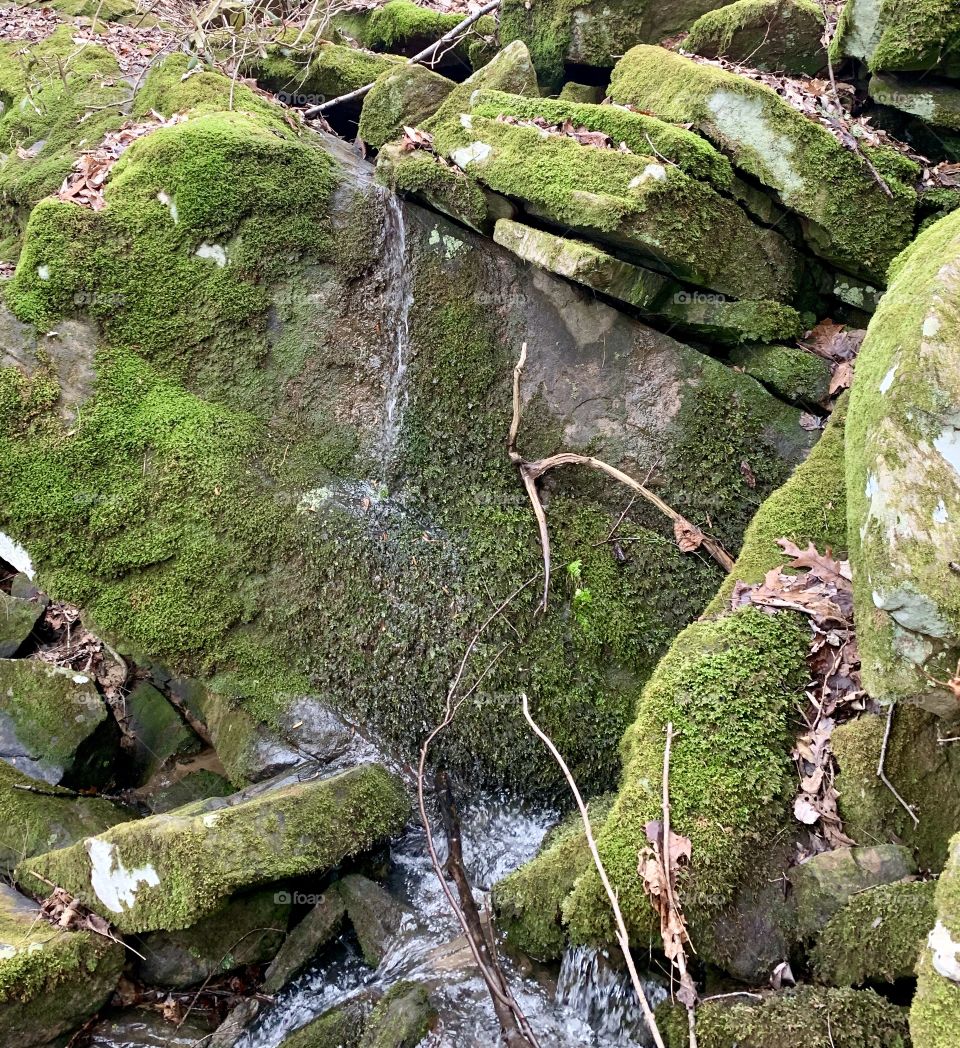 Appalachian Mountains