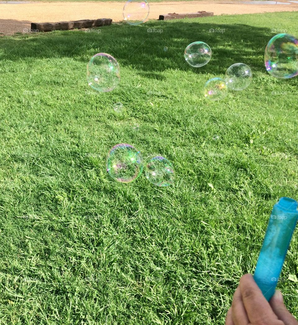 Bubbles 
