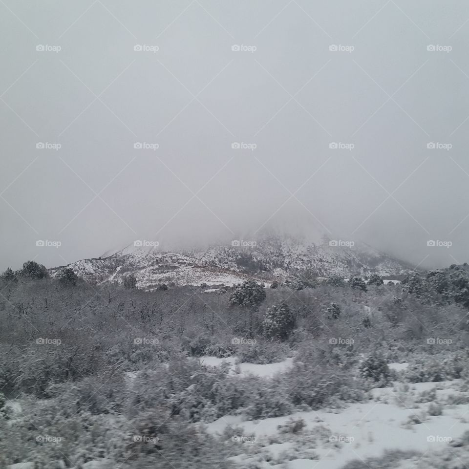 Snow, Fog, Winter, Landscape, No Person
