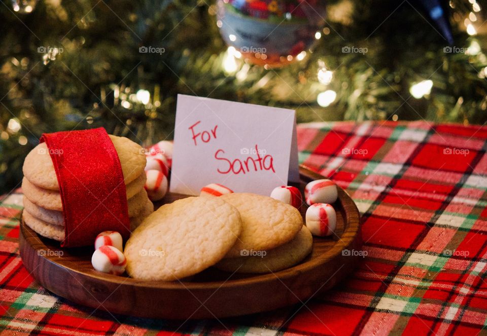 Christmas cookies for Santa 
