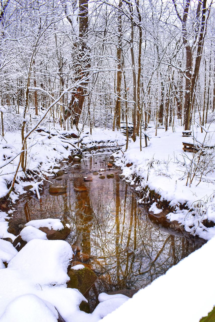 A beautiful snowy day for a hike in the forest in a park in Indiana while it was snowing with a beautiful body of water reflection 
