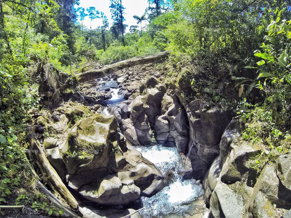 Stream 