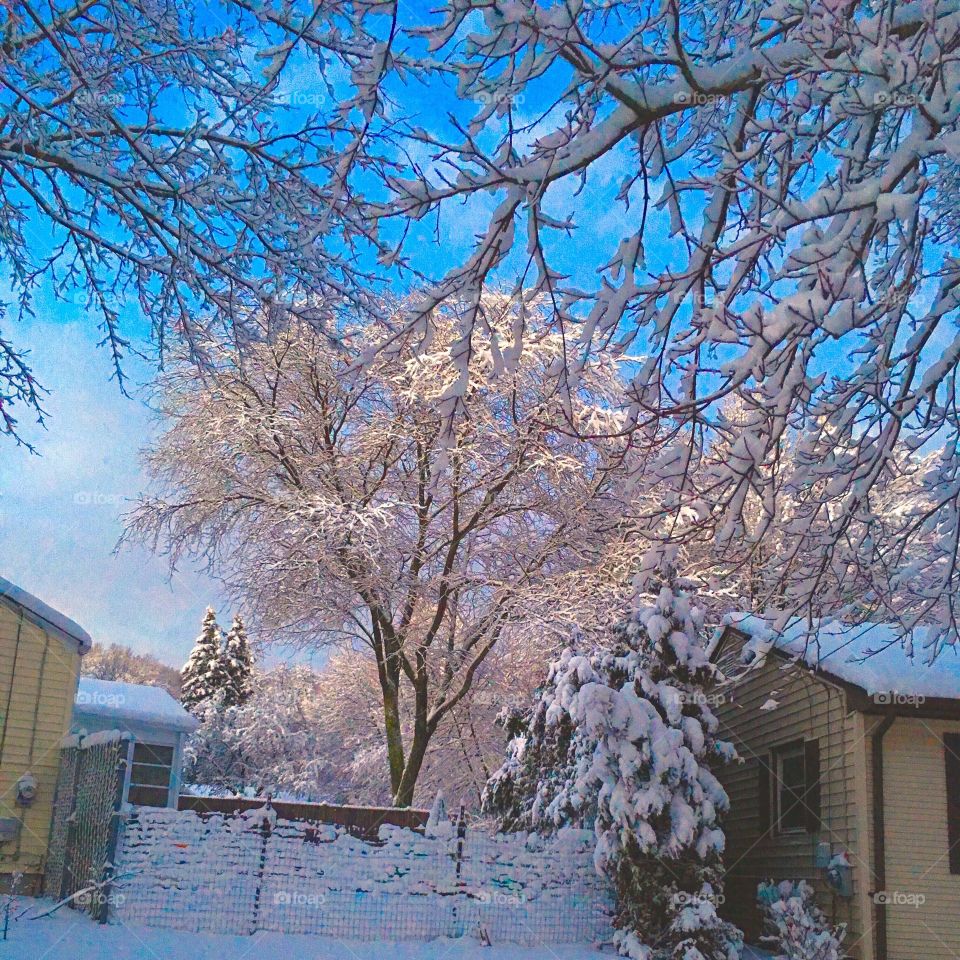 Aftermath of New England Snowstorm in HDR 