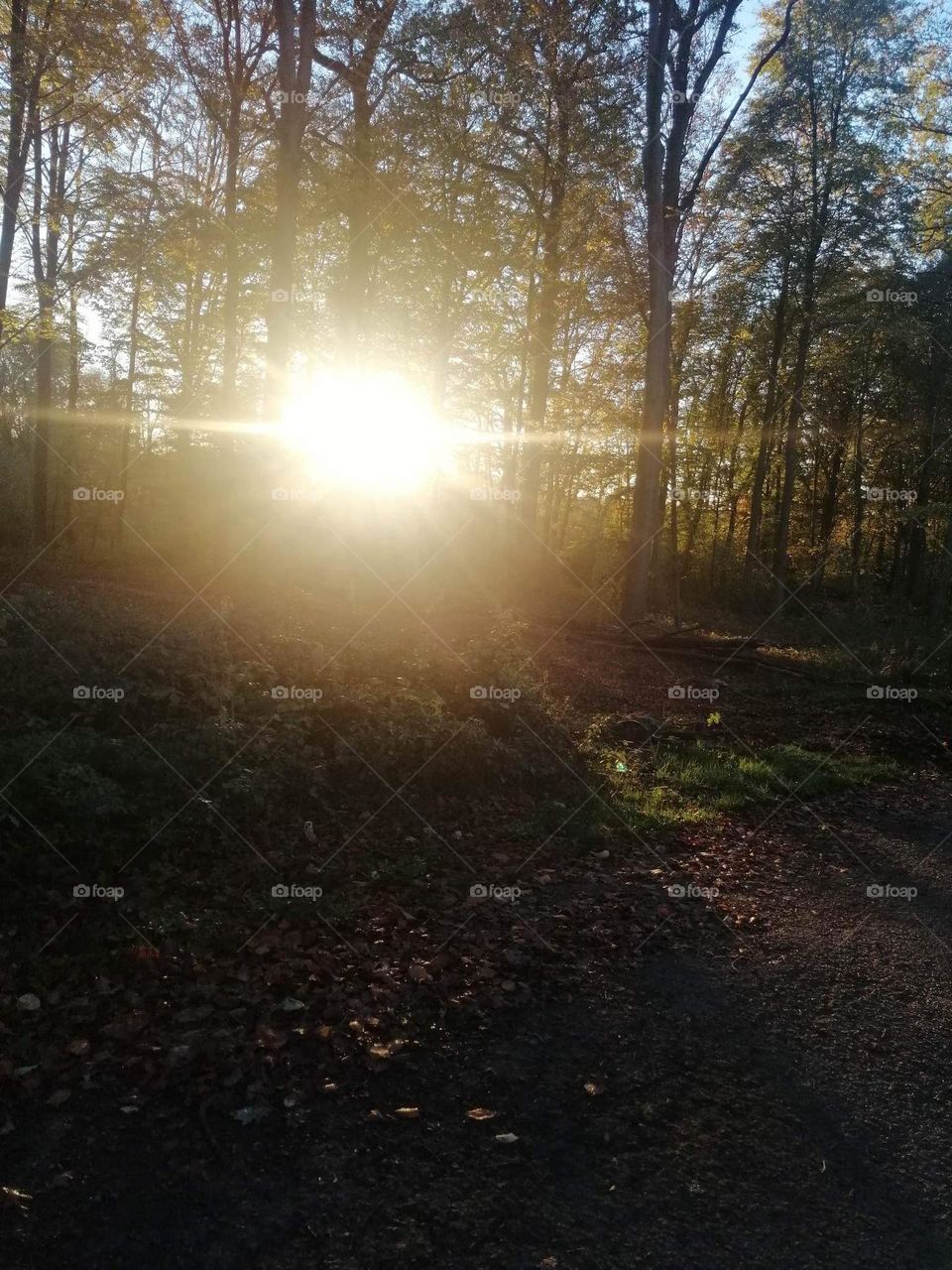 week end dans les Ardennes belges