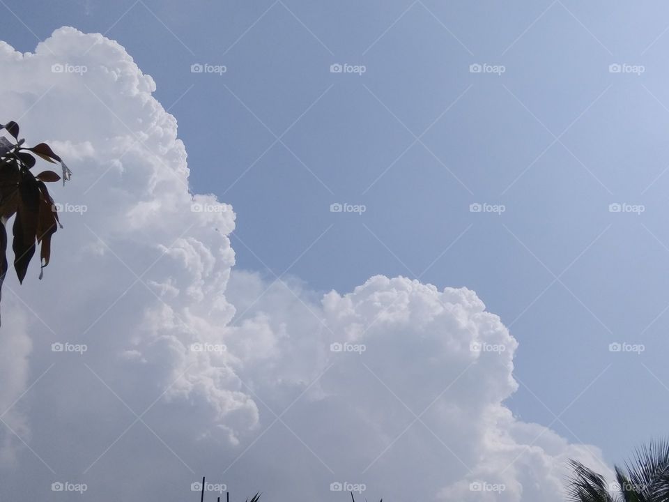 nature's shape,sky, cloud