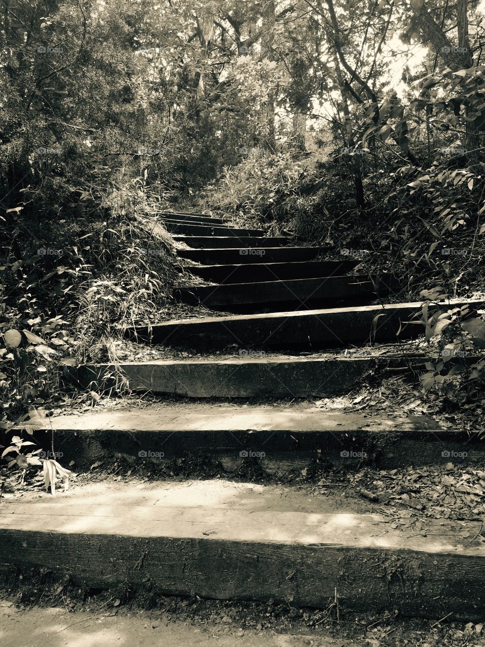 Looking up. Looking up