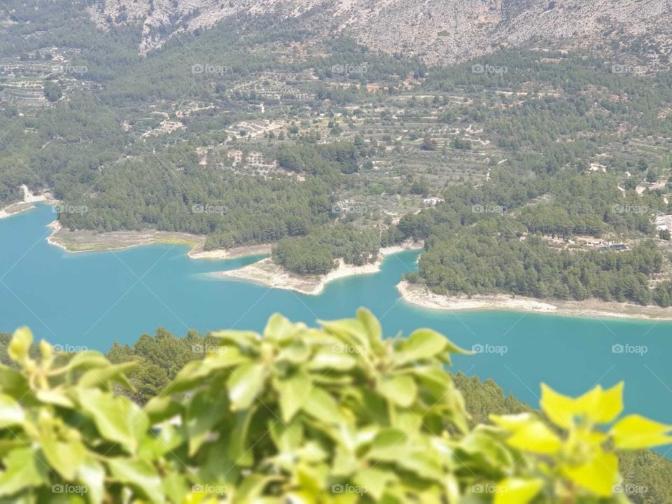 Nature#forest#trees#greengrass#lake#water#mountain