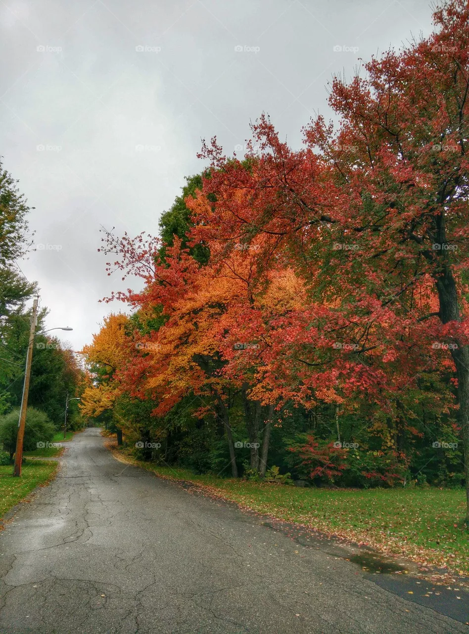 fall