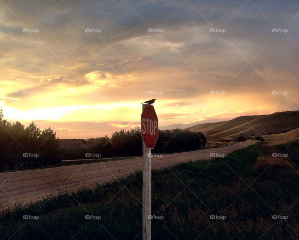 sky red white wood by stykellee