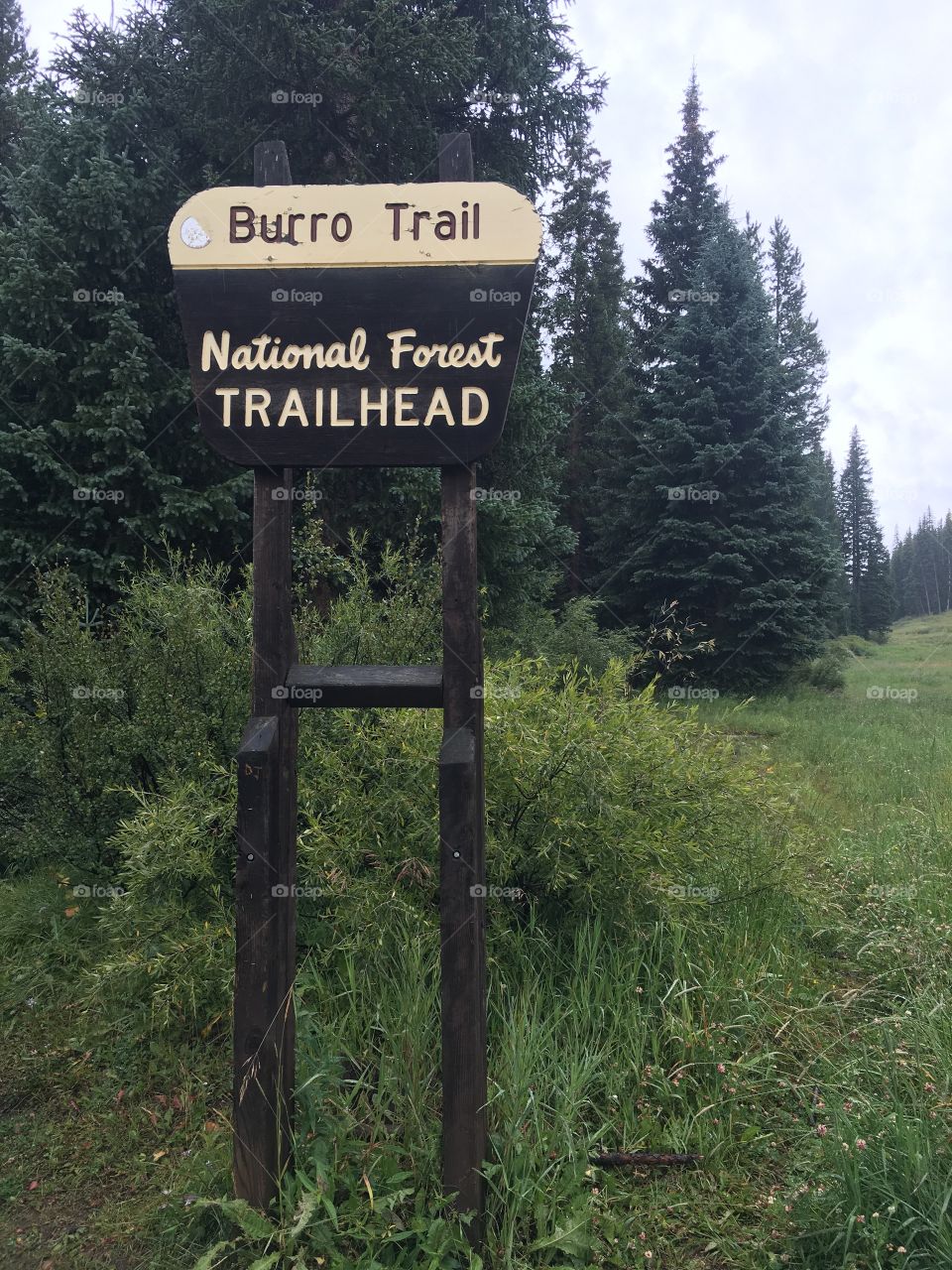 Trailhead