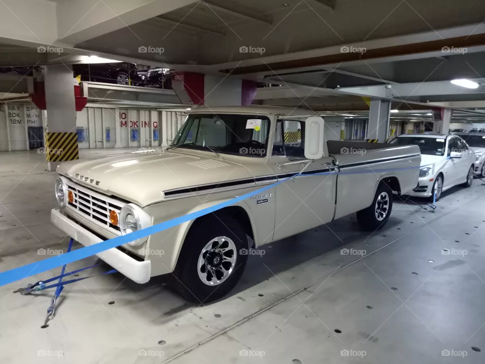 dodge