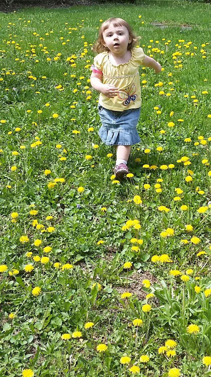 chased by a dandelion. spring brings freedom