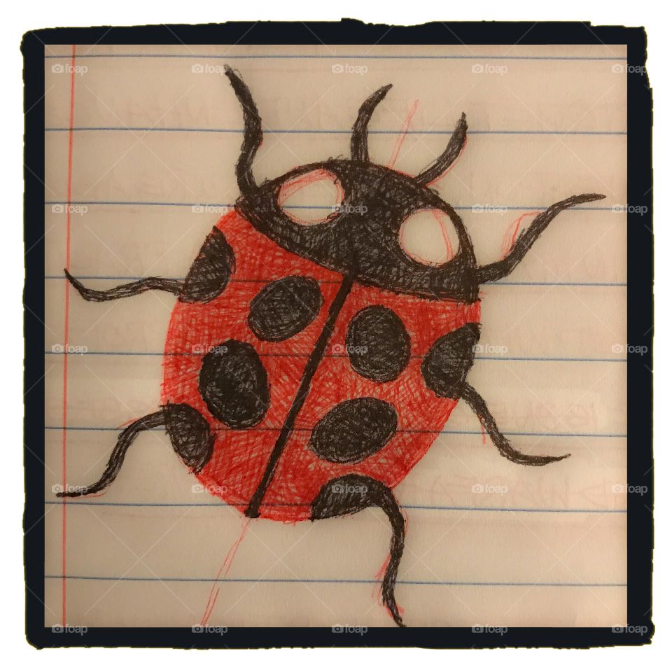 A journal sketch of a black and red ladybug.