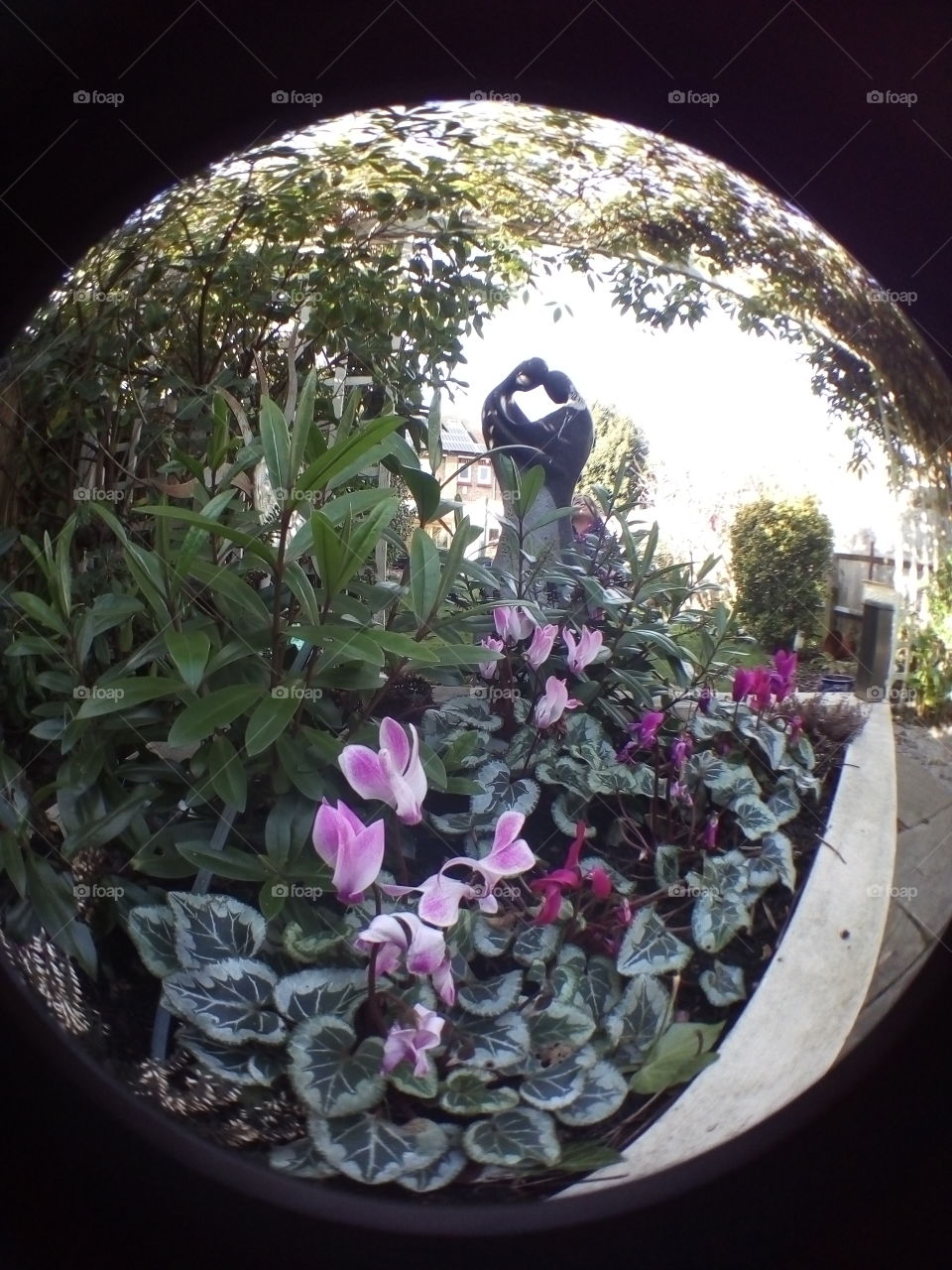 garden, wide angle, flowers, statue