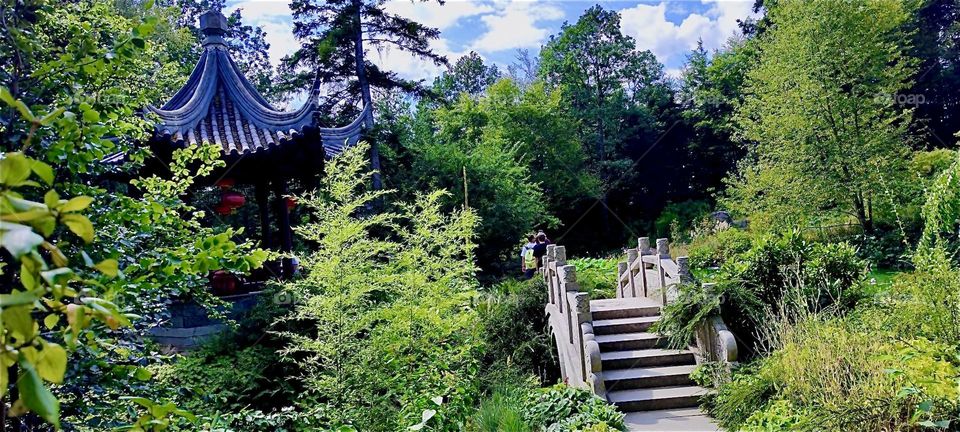 This is the garden at “Himalaya Nepal Park” in “Wiesent”, “Bavaria”, Germany with a stepped arched bridge over a little brook in the September sunshine of 2024. Hypnotic Productions