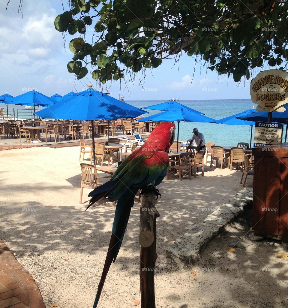 cerca de la playa en verano