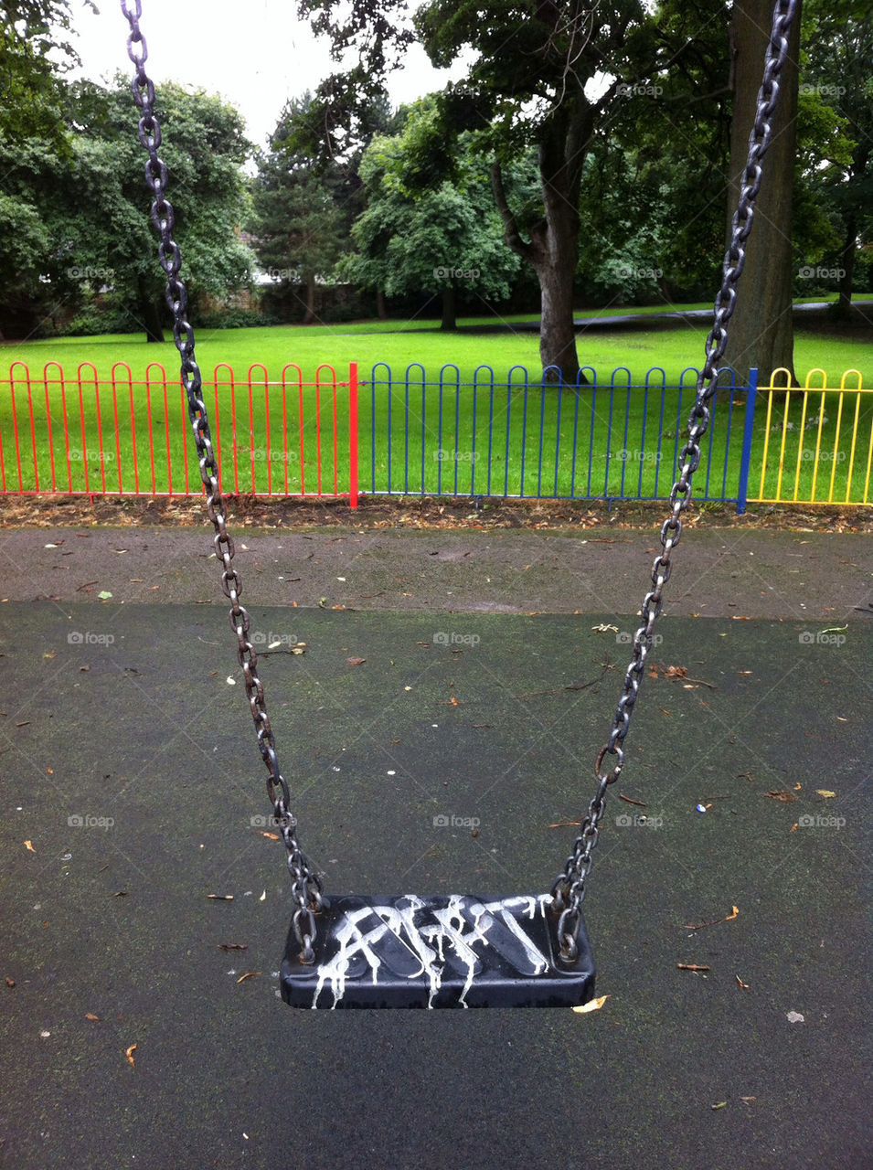 play trees park swing by emmam