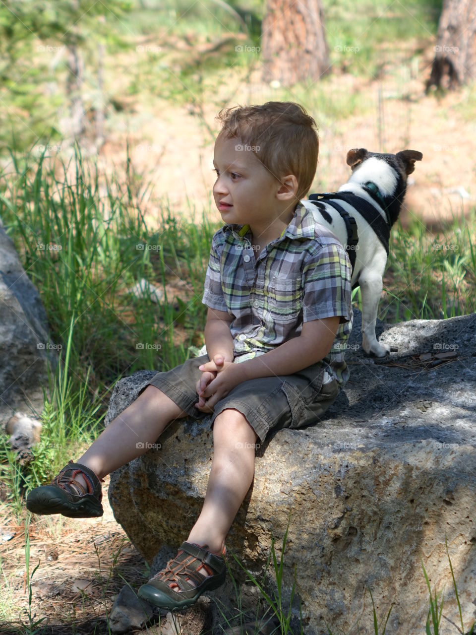 A little boy and his little Jack Russell Terrier sit on a giant boulder in the forests of Central Oregon on a sunny summer day. 