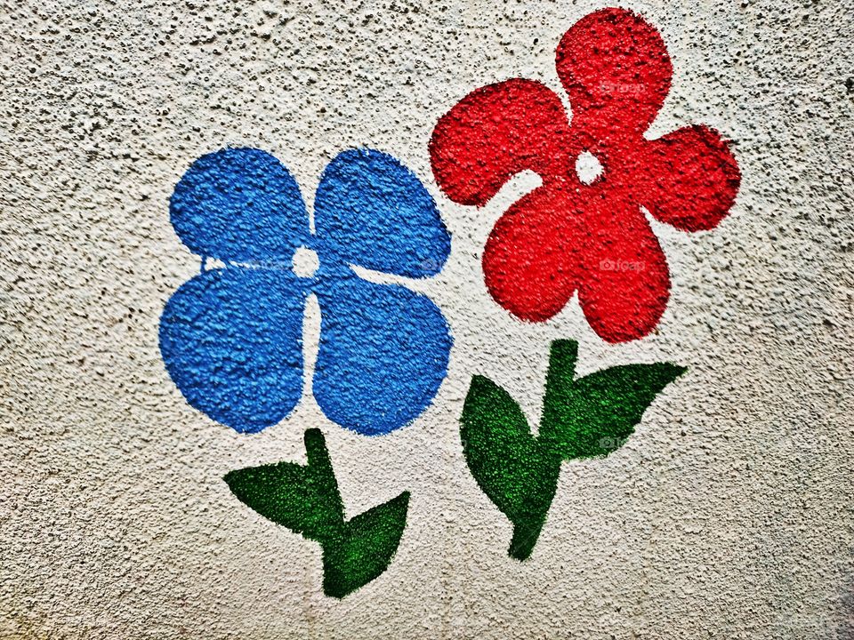 Wall painting 🖌️🖌️🖌️
Flowers
Blue 
Pink
🌼🌸🏵️