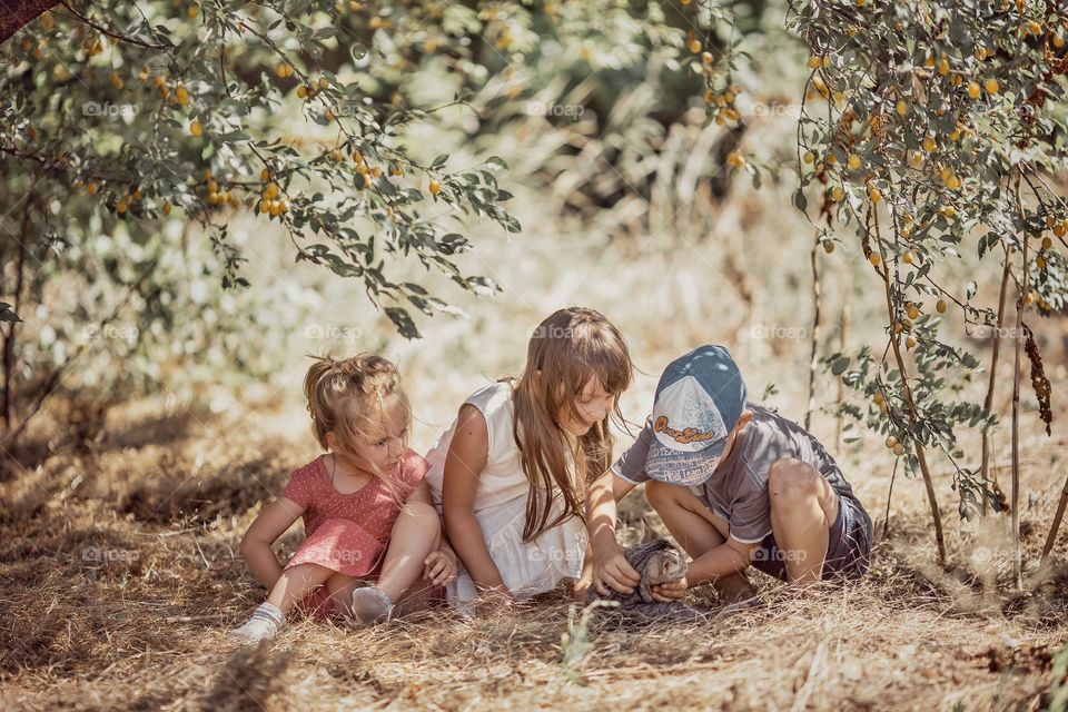 Children playing with kitten in a garden