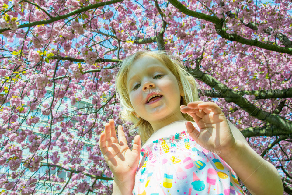 Young girl is playing in the park under a cherry blossom tree in Malmö Sweden.