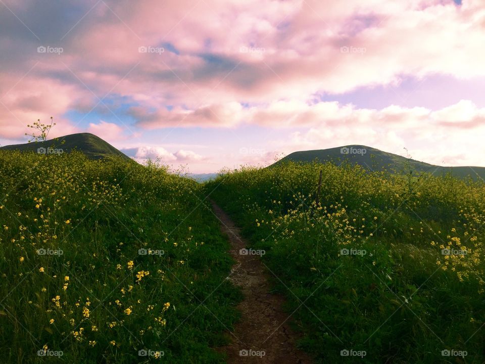 Landscape, No Person, Mountain, Sky, Nature