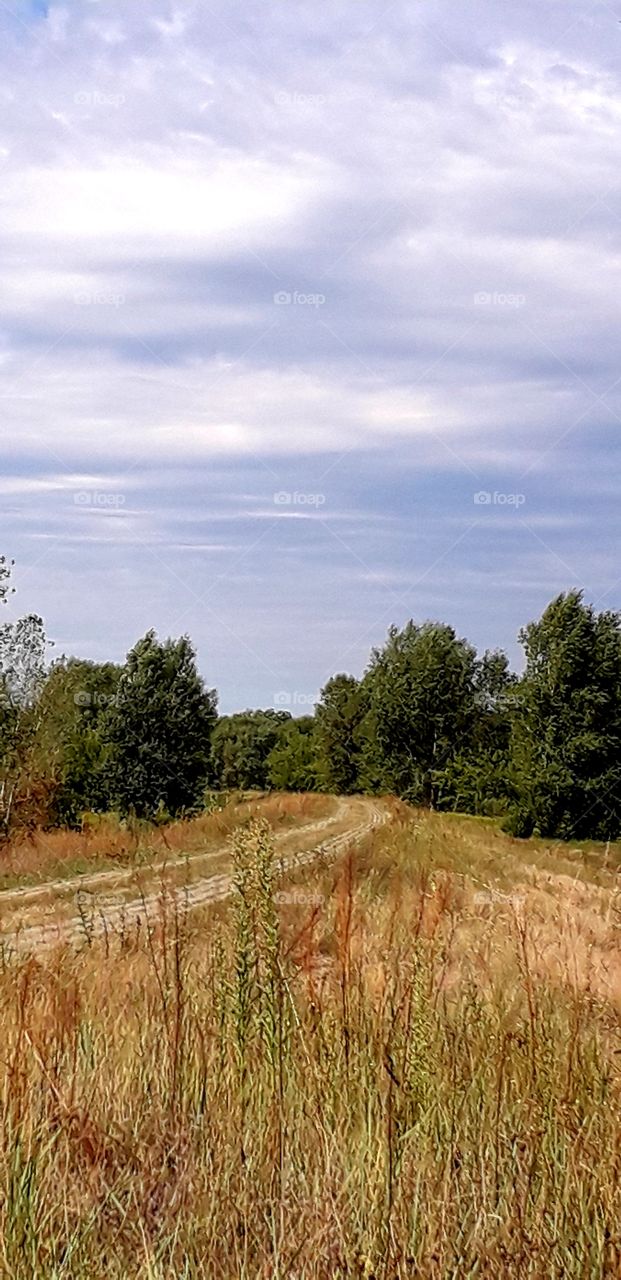 small  road heading to riverside in late summer trip