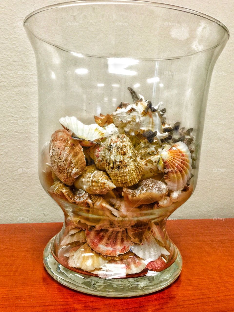 Shells in a Jar
