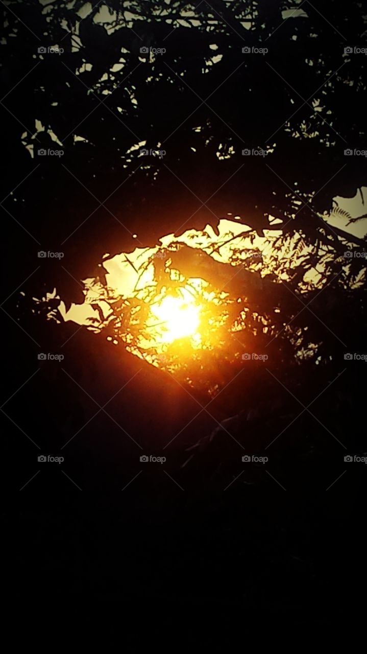 my photography sunset