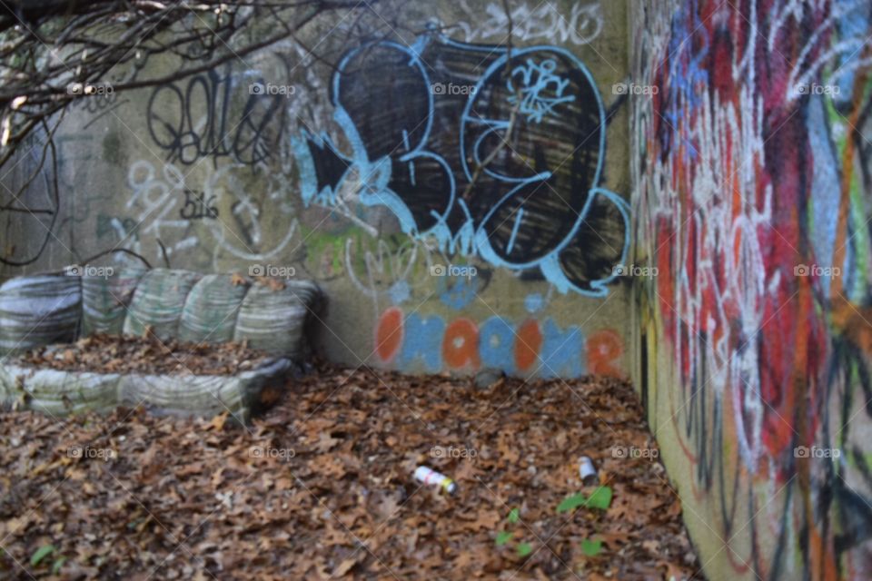 Graffiti at Welwyn Preserve in Glen Cove, NY