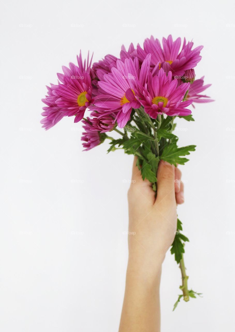 bouquet of pink daisy