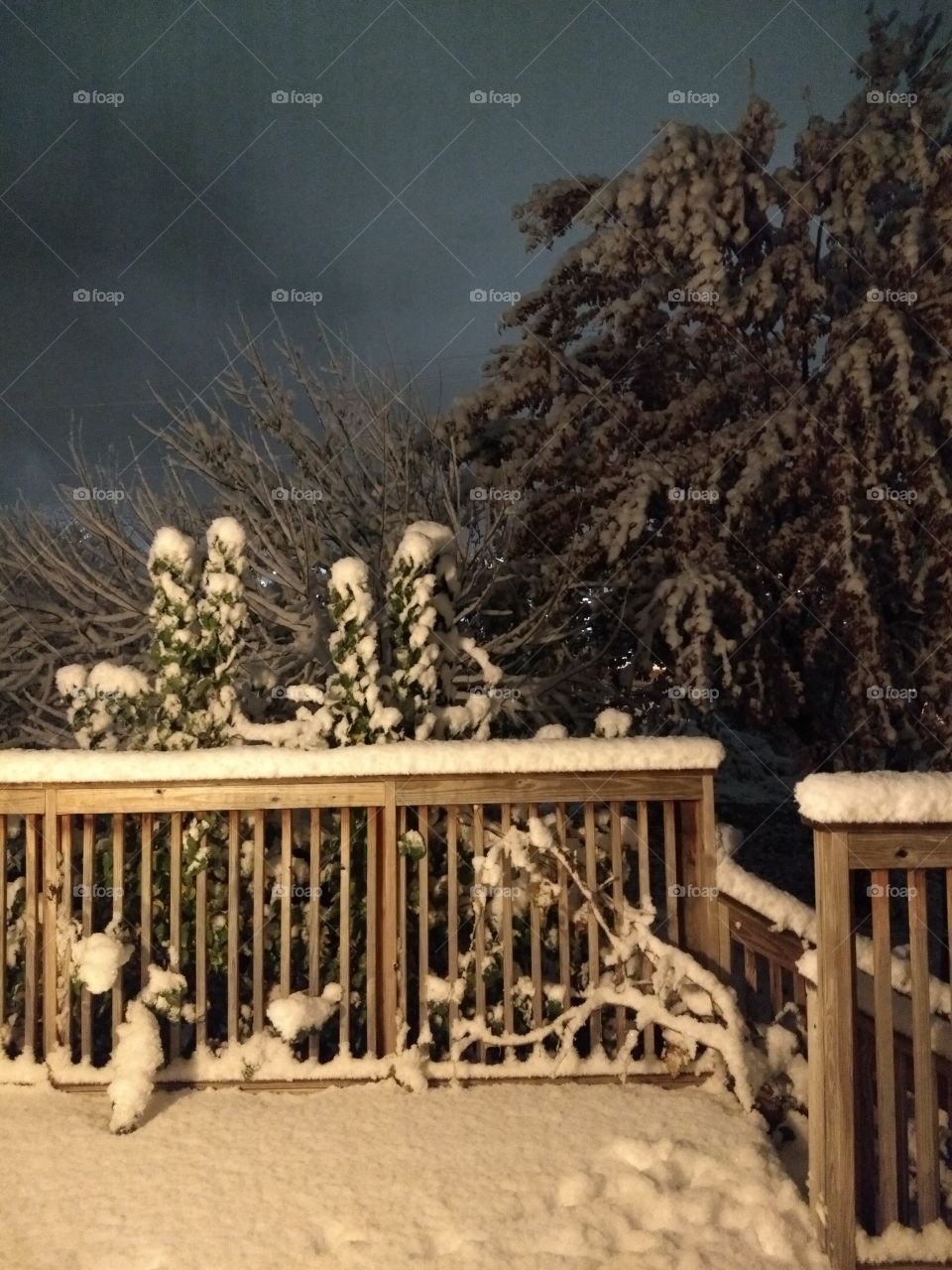backyard mid snow storm.  Missouri weather.