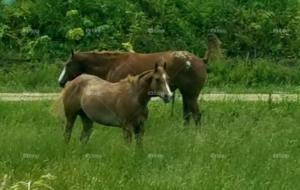Driving the Back Roads and enjoying everything around us