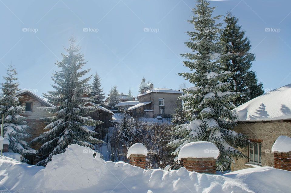 Winter landscape, Ravnogor Village, Bulgaria