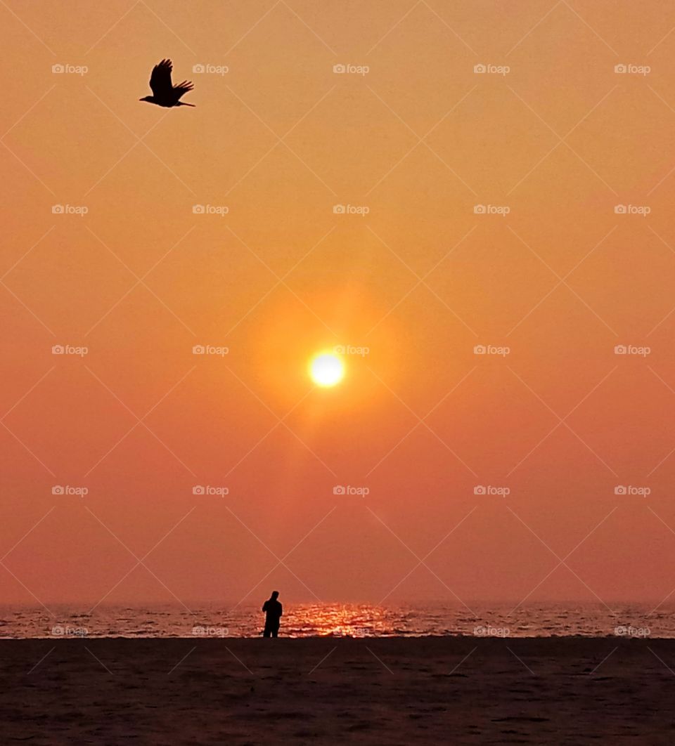 one man enjoying the serenity of sunset or golden hours on the beach and a bird flying over