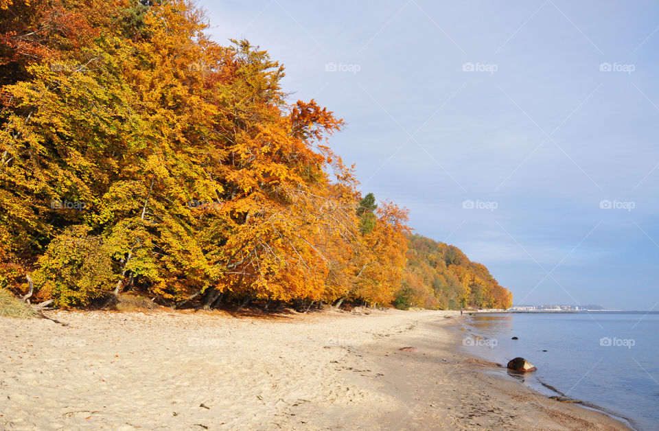 Autumn beach view 