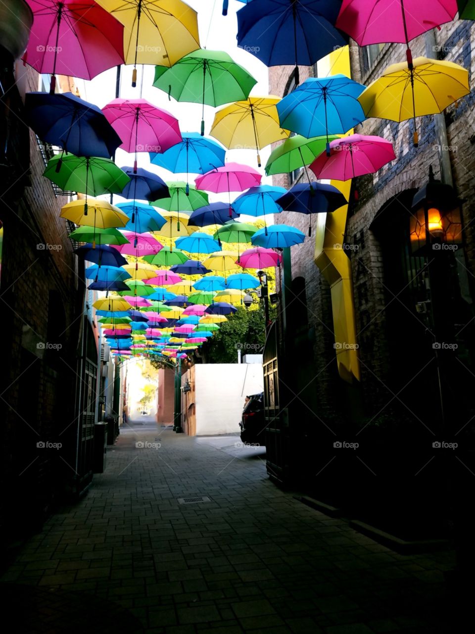 umbrellas in an alley
