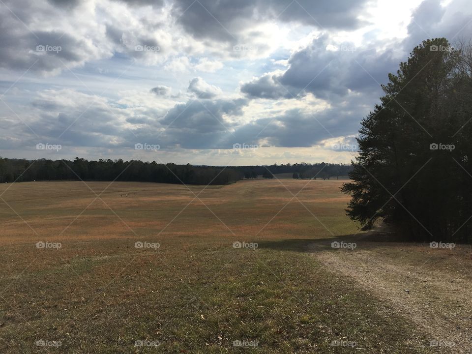 Battlefield crest