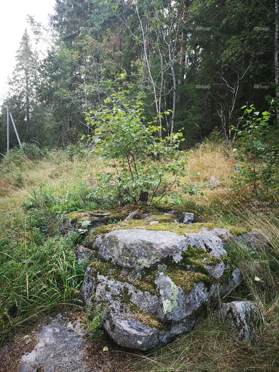 Almost a perfect angled rock