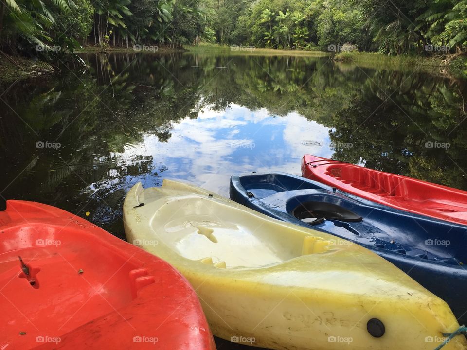 Kayak