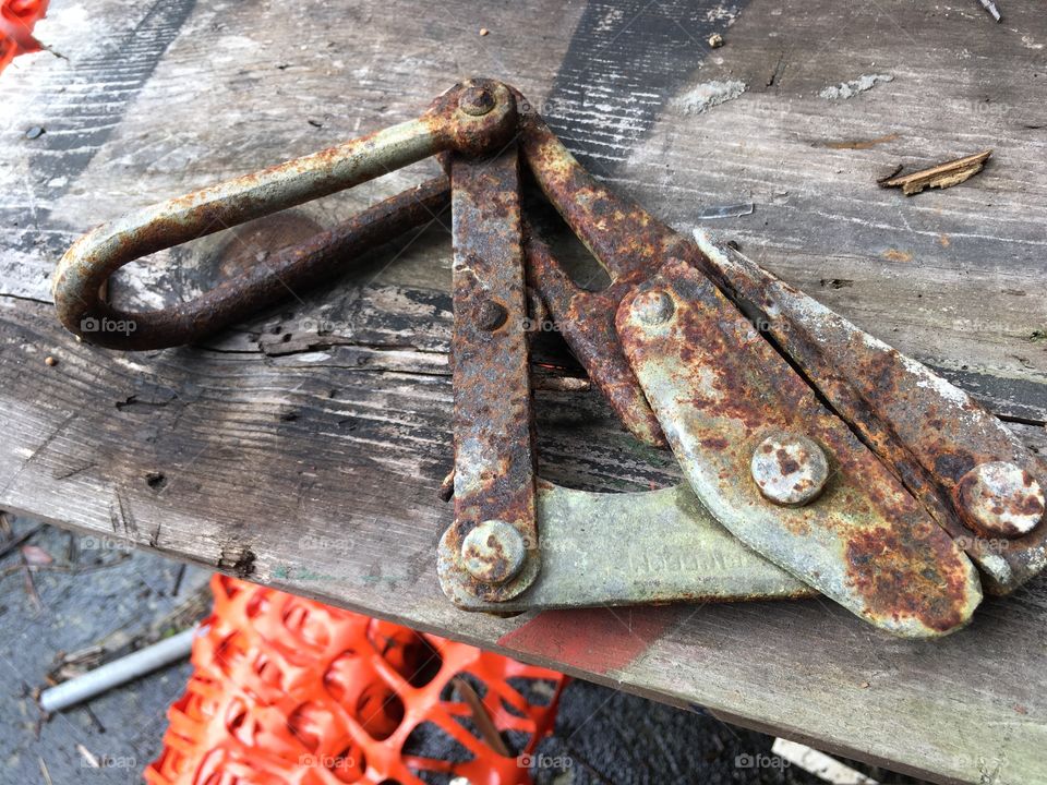 Abandoned Jungleland Zoo