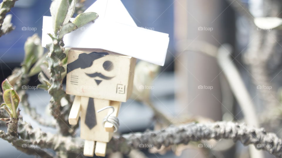 "Jack Sparrow" Woodman