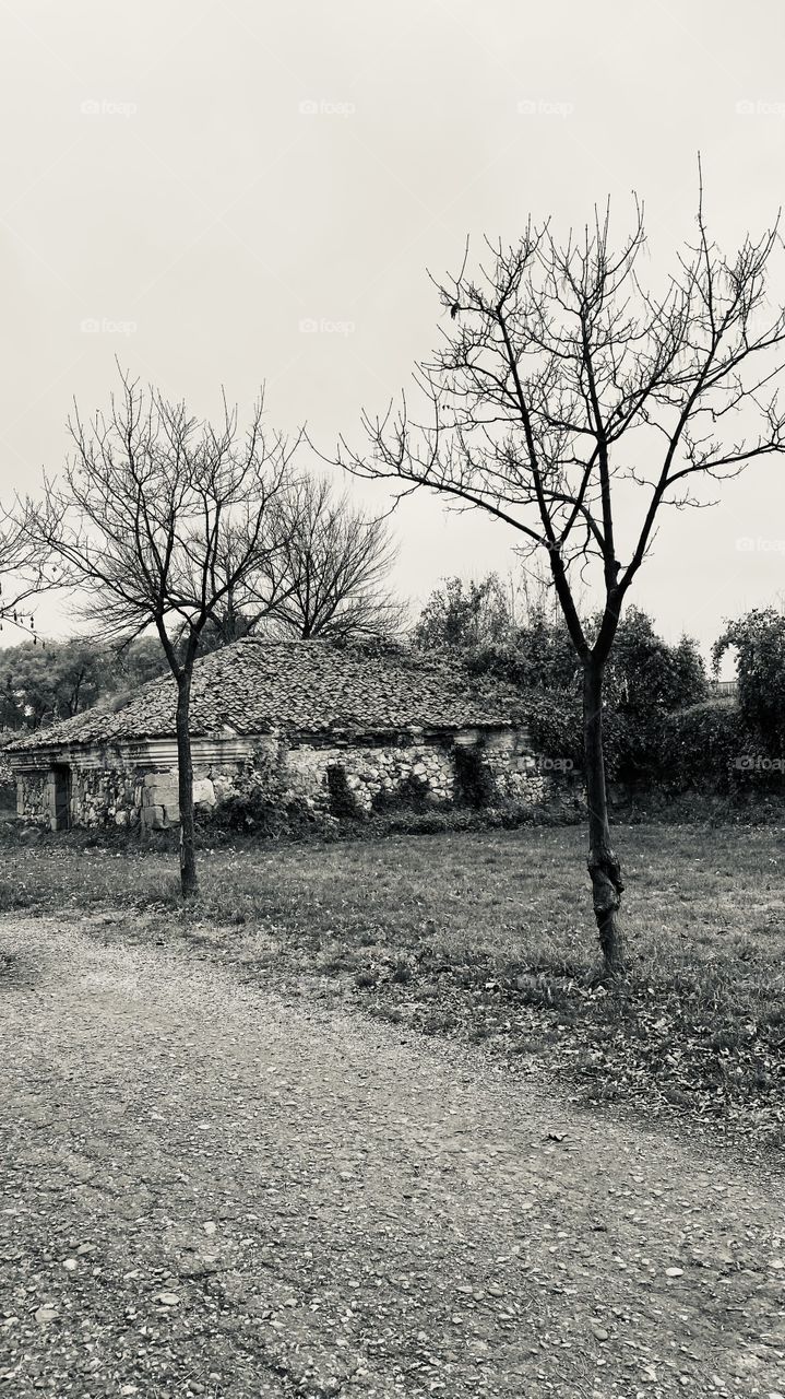 gunpowder from 1720'🤓