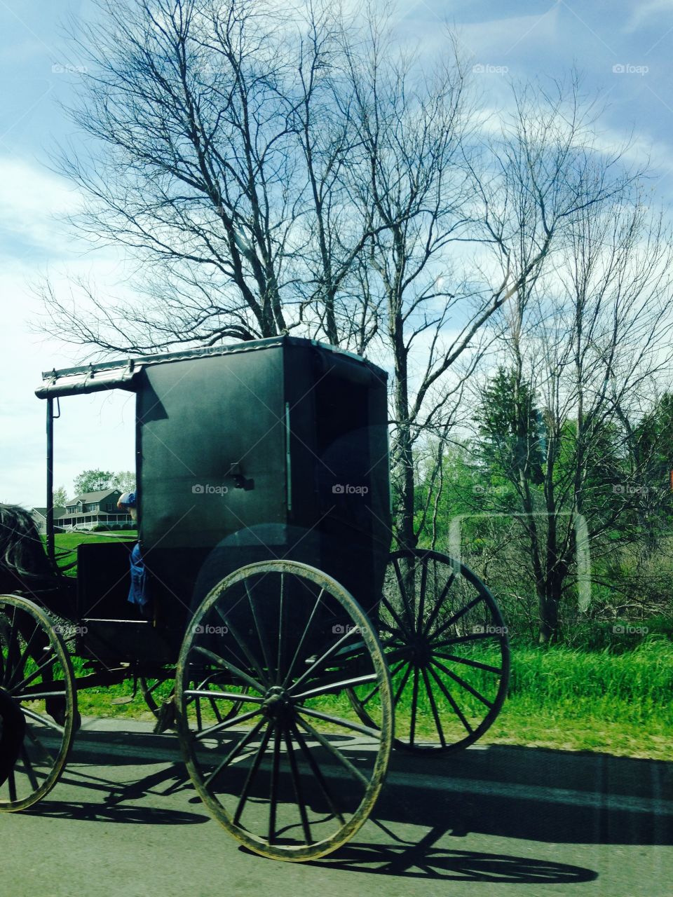 Amish
