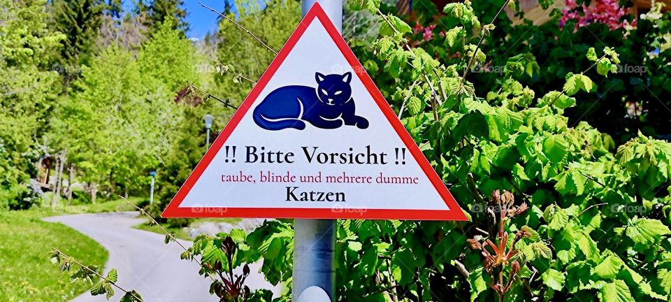 This sign by the waterfall in „Bayerischzell“, a small town near the Alps in „Bavaria“ warns: „!! Please Beware !! Deaf, blind and several stupid cats“. This is to be taken with a grain of salt, but beware nonetheless. 2024. Hypnotic Productions